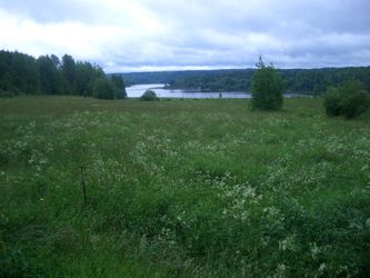 Esi-isiemme peltomaisemia Tiurulassa